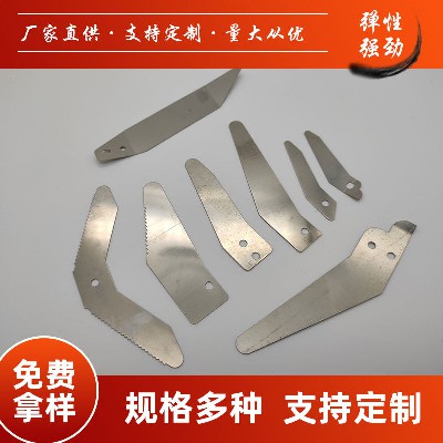 中山彈片